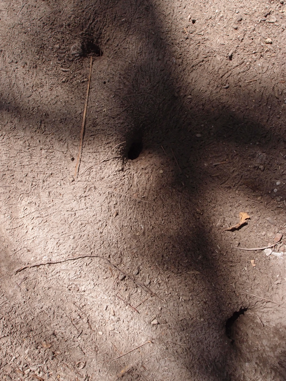 2015-10-07 04 Sand (Foto)